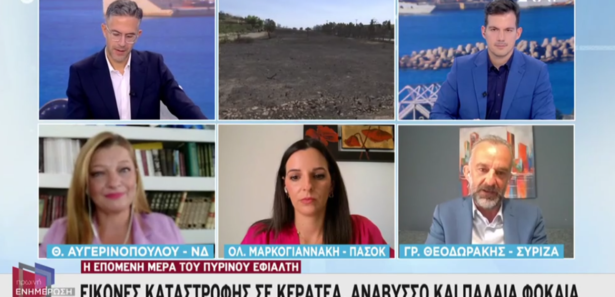 Ο Γρηγόρης Θεοδωράκης στην εκπομπή «Πρωινή Ενημέρωση» του ΣΚΑΪ