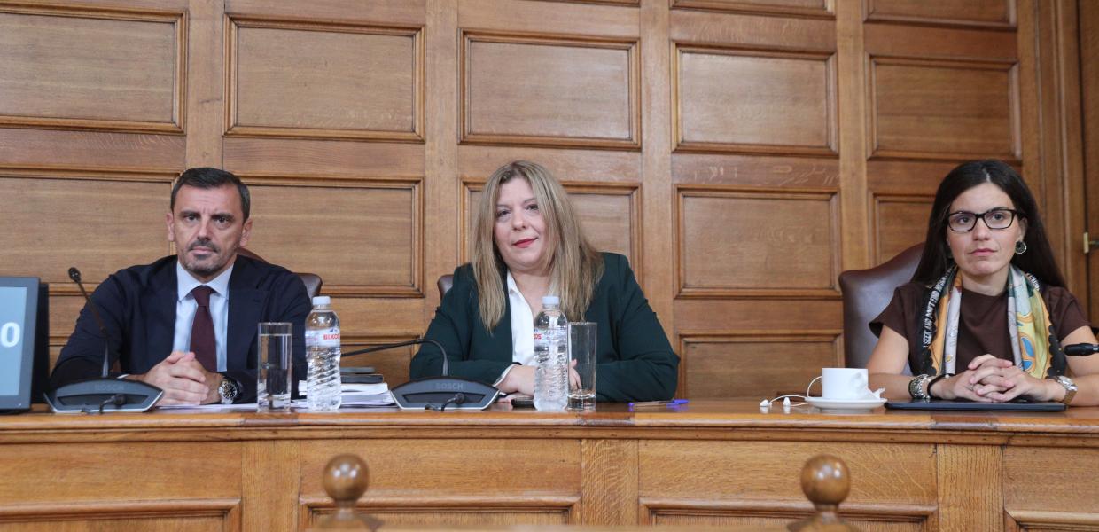 ΕΞΕΤΑΣΤΙΚΗ ΕΠΙΤΡΟΠΗ