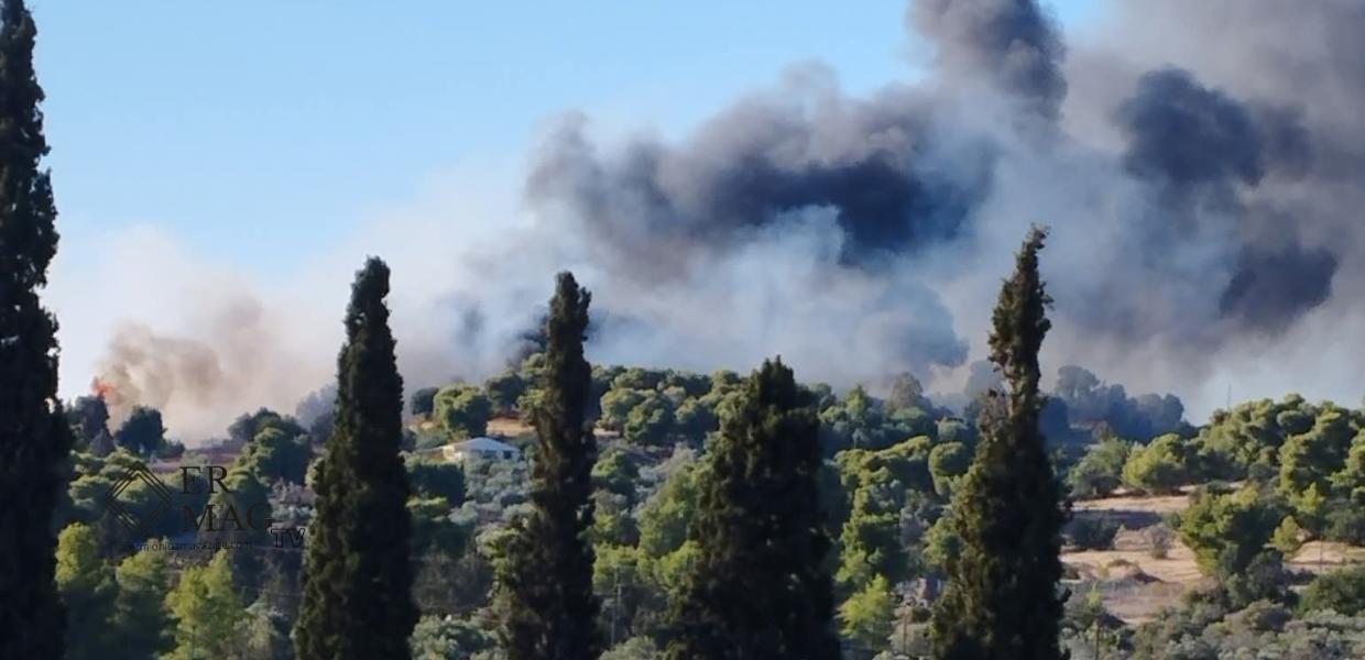 Άποψη της φωτιάς στην περιοχή Κουνούπι Αργολίδας 