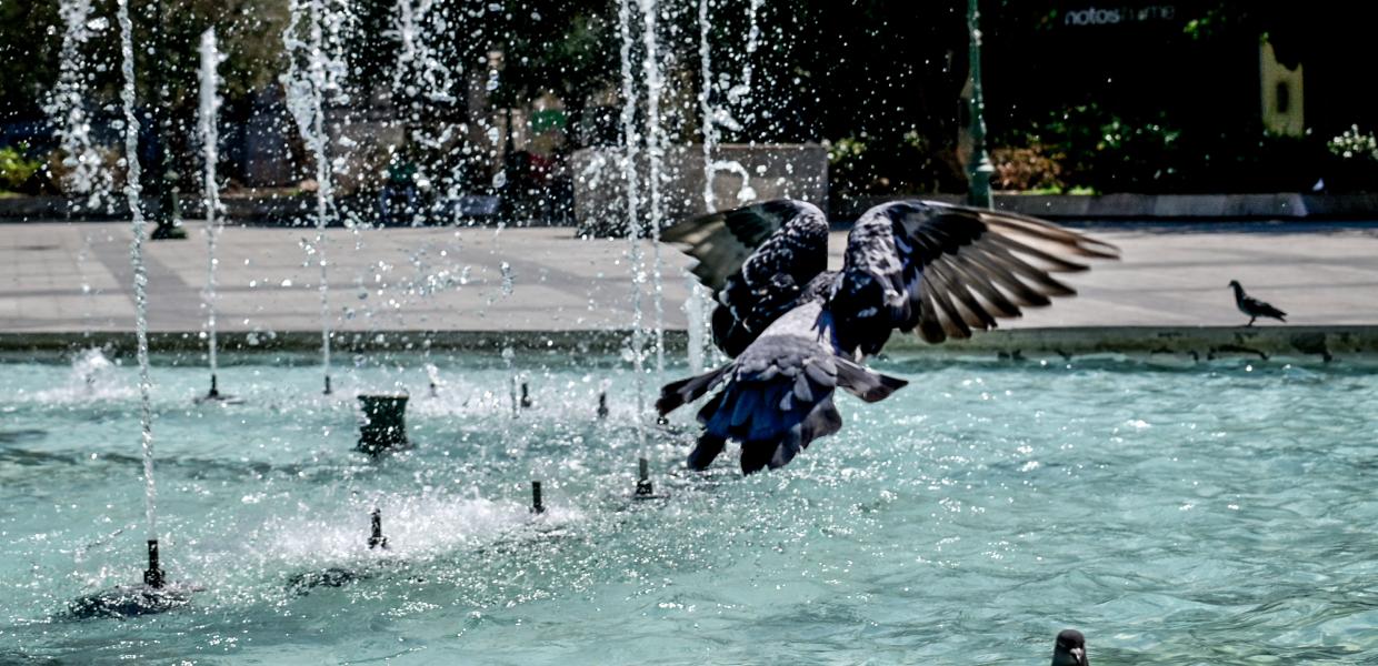 καιρός καλοκαίρι ζέστη