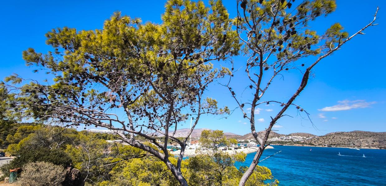 καιρός καλοκαίρι θάλασσα