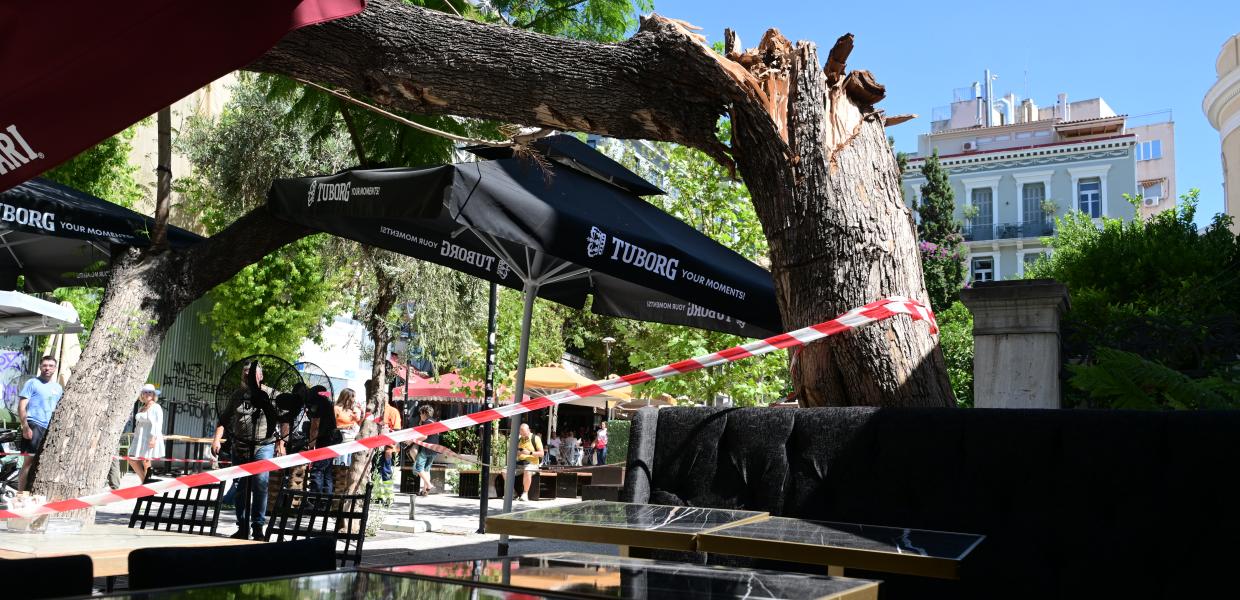 Πτώση δέντρου στην πλατεία Αγίας Ειρήνης, στο κέντρο της Αθήνας
