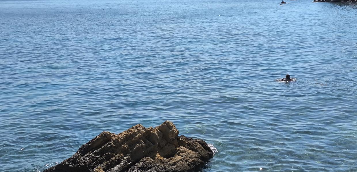 ΖΕΣΤΗ