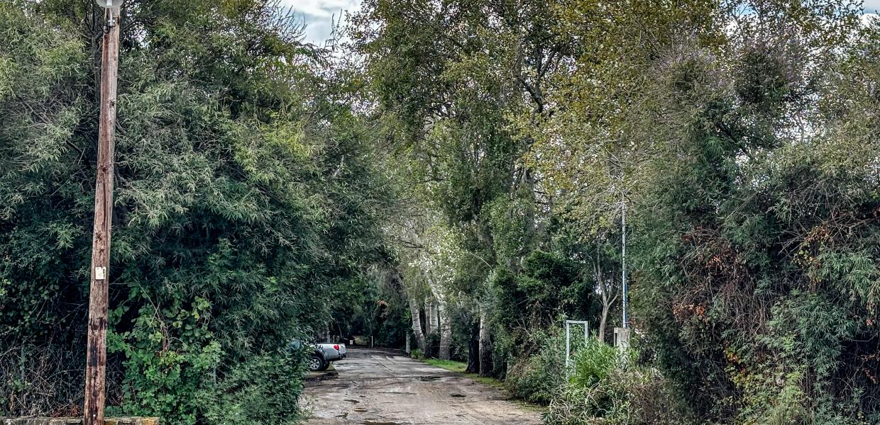 ΜΕΣΣΗΝΙΑ ΕΓΚΛΗΜΑ