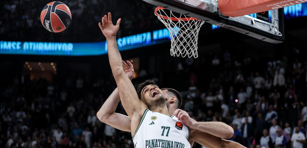 ΠΑΠΑΓΙΑΝΝΗΣ ΠΑΟ