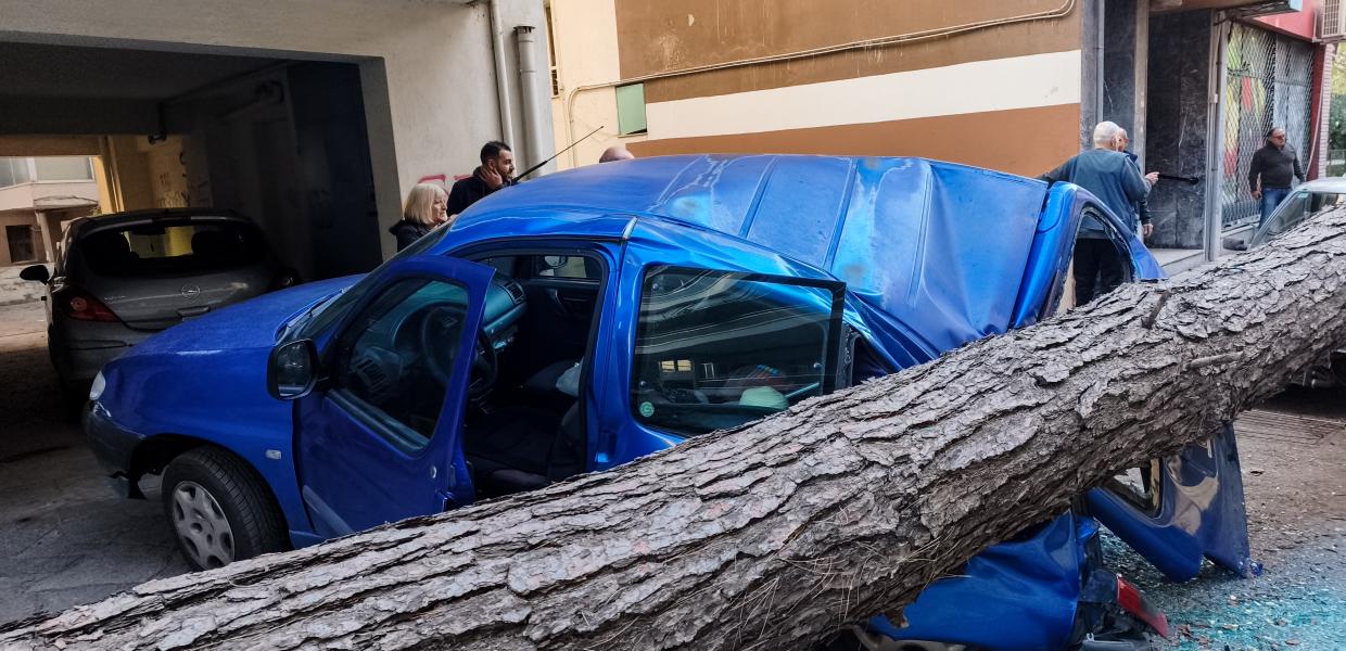 Δέντρο καταπλάκωσε αυτοκίνητα στη Θεσσαλονίκη
