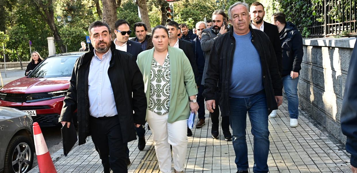 ΑΓΡΟΤΕΣ ΜΗΤΣΟΤΑΚΗΣ ΜΑΞΙΜΟΥ