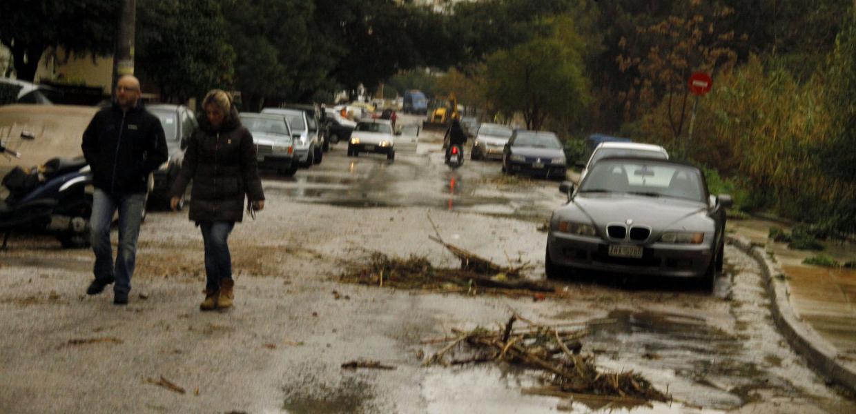 Ρέμα πικροδάφνης