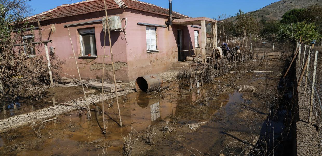 ΘΕΣΣΑΛΙΑ ΠΛΗΜΜΥΡΕΣ ΝΤΑΝΙΕΛ
