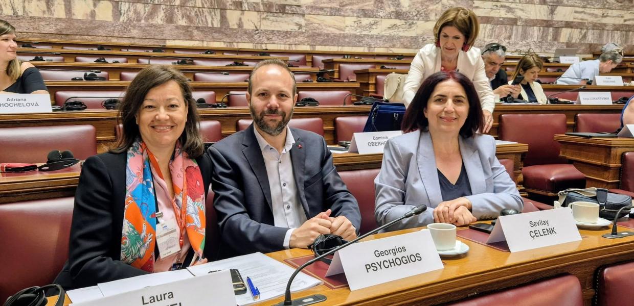 Ο Γιώργος Ψυχογιός στην Στην Επιτροπή Ισότητας και μη των διακρίσεων του Συμβουλίου της Ευρώπης.