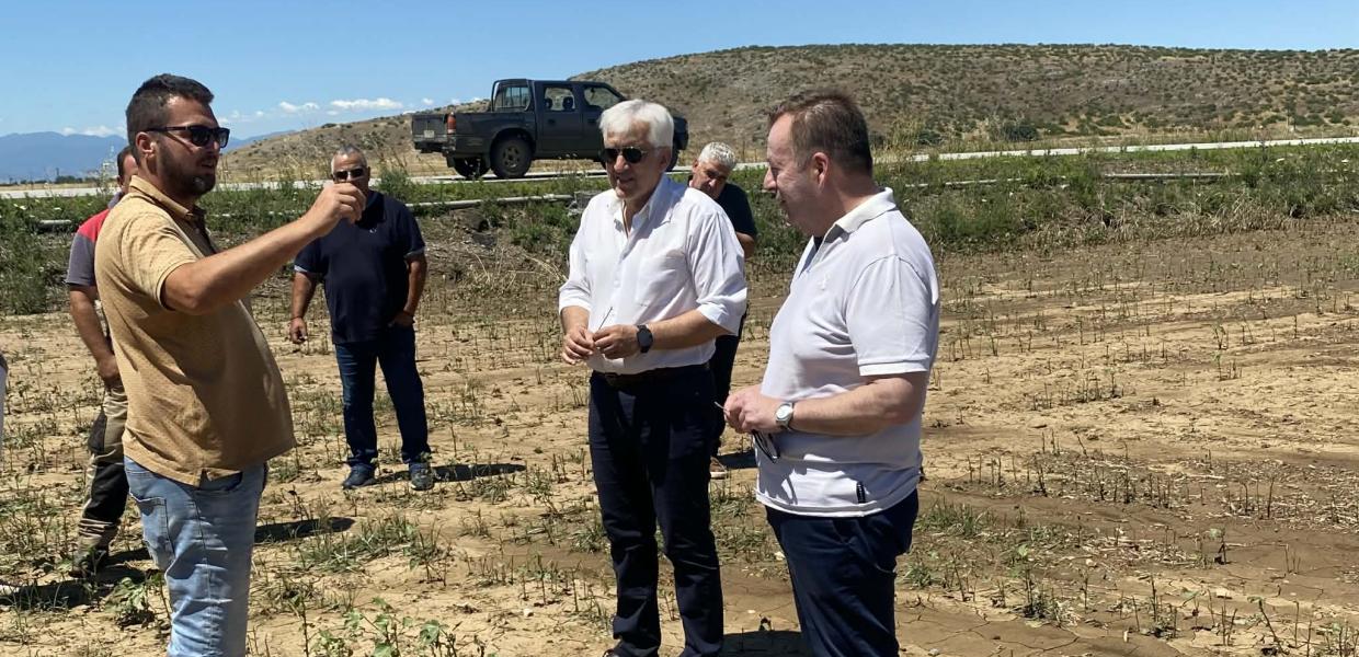 Σε πληγείσες καλλιέργειες στα Φάρσαλα ο τομεάρχης Αγροτικής Ανάπτυξης και Τροφίμων, Βασίλης Κόκκαλης