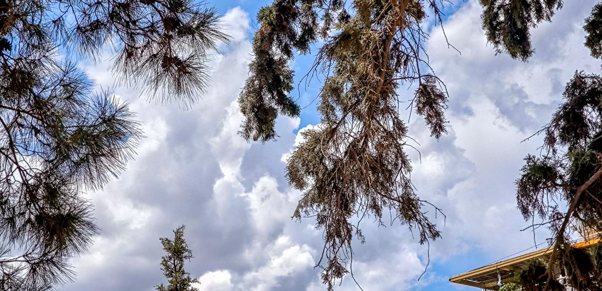 Καιρός