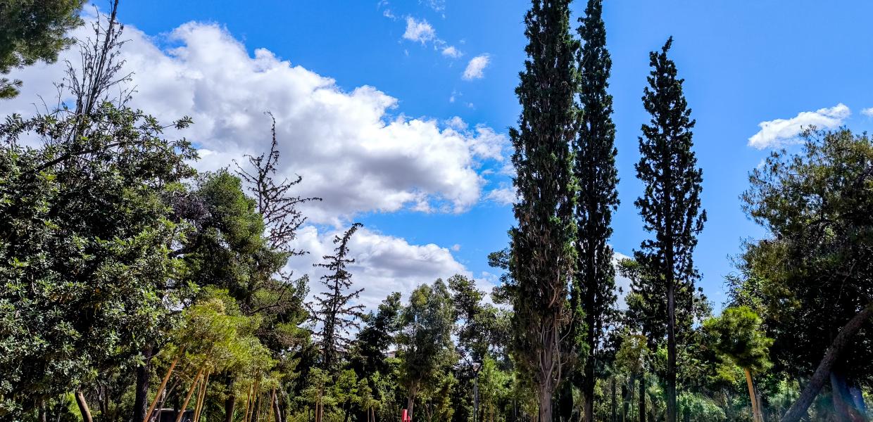 Καιρός