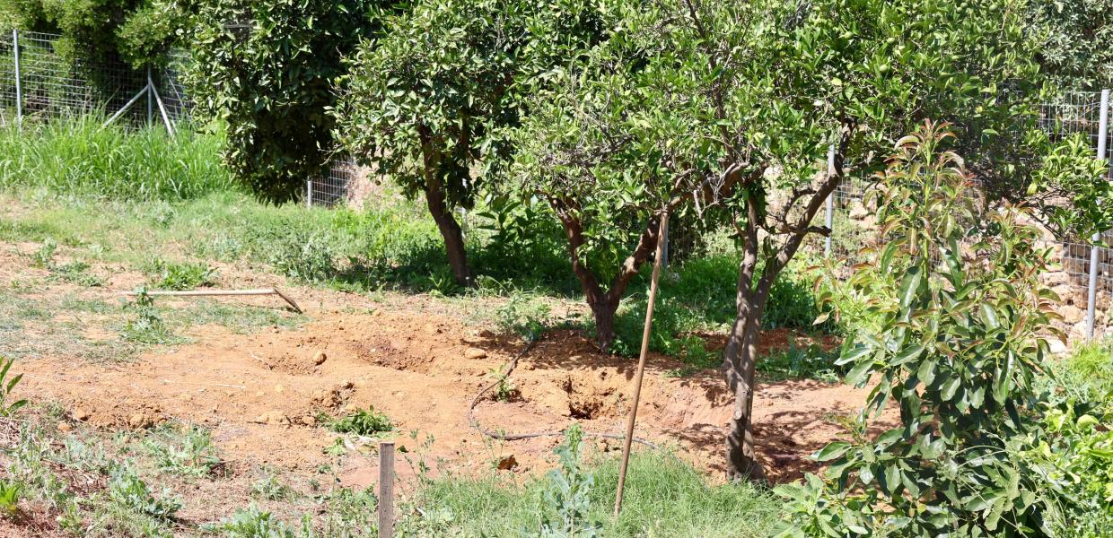 ΒΡΕΘΗΚΕ Η ΣΩΡΟΣ ΤΗΣ ΕΞΑΦΑΝΙΣΜΕΝΗΣ ΣΤΑΥΡΟΥΛΑΣ ΛΕΒΕΝΤΑΚΗ ΘΑΜΜΕΝΗ ΣΕ ΧΩΡΑΦΙ ΣΤΑ ΧΑΝΙΑ