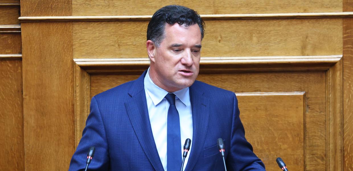 Άδωνις Γεωργιάδης - Βουλή