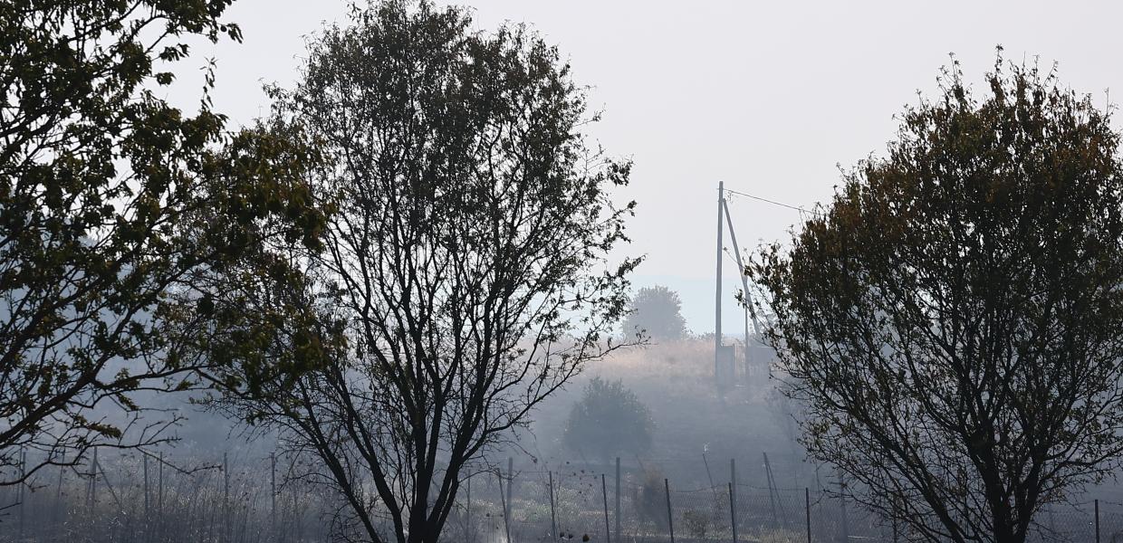 Φωτιά στην Πυλαία Θεσσαλονίκης