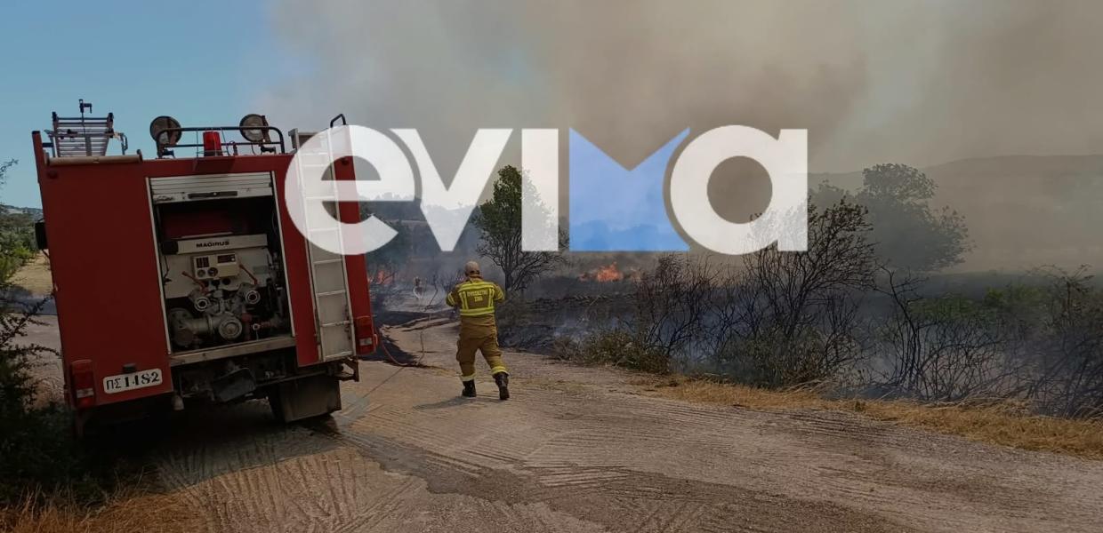 Πυροσβεστικό όχημα και πυροσβέστης στη φωτιά στη Λάτα Αλιβερίου