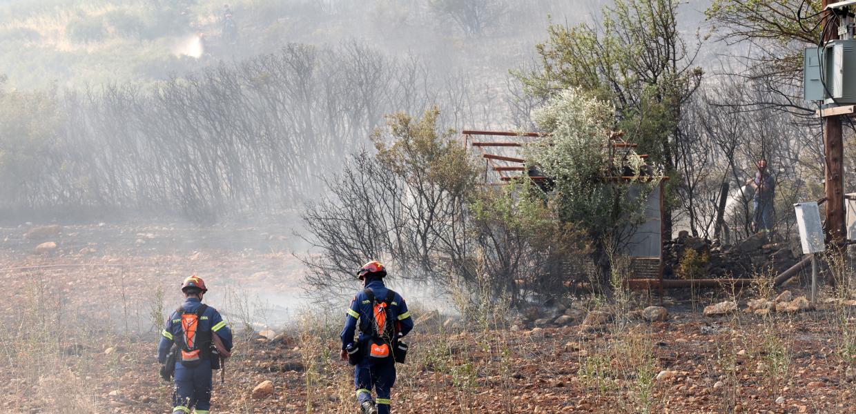 Πυροσβέστες περπατάνε σε καμένη αγροτοδασική έκταση