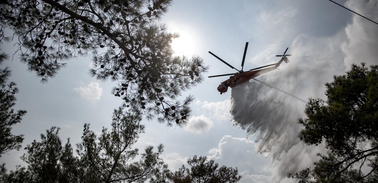 ΑΠΟΓΟΡΕΥΣΗ ΚΥΚΛΟΦΟΡΙΑΣ ΣΕ ΔΑΣΙΚΕΣ ΠΕΡΙΟΧΕΣ ΣΤΗ ΘΕΣΣΑΛΟΝΙΚΗ ΛΟΓΩ ΚΙΝΔΥΝΟΥ ΦΩΤΙΑΣ