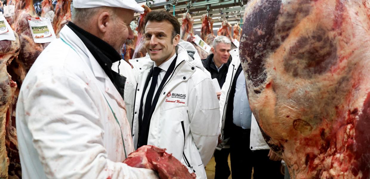 133021067_MACRON_KREATA.jpg