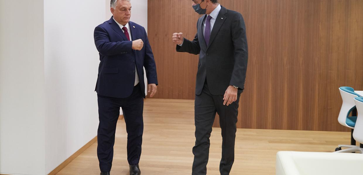 13451596a.jpg