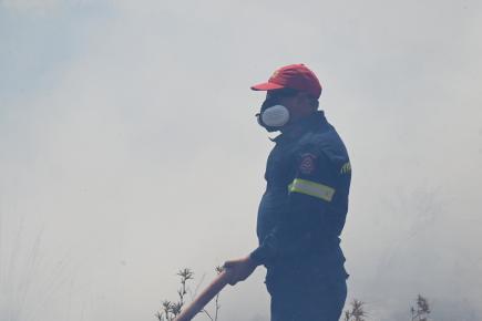 Πυρκαγιά εκδηλώθηκε σε αγροτική έκταση μεταξύ Μυκήνες - Φίχτια, και στο οποίο υπήρχε στέγαστρο για αρχαιολογικά ευρήματα που υπήρχαν στο χώρο