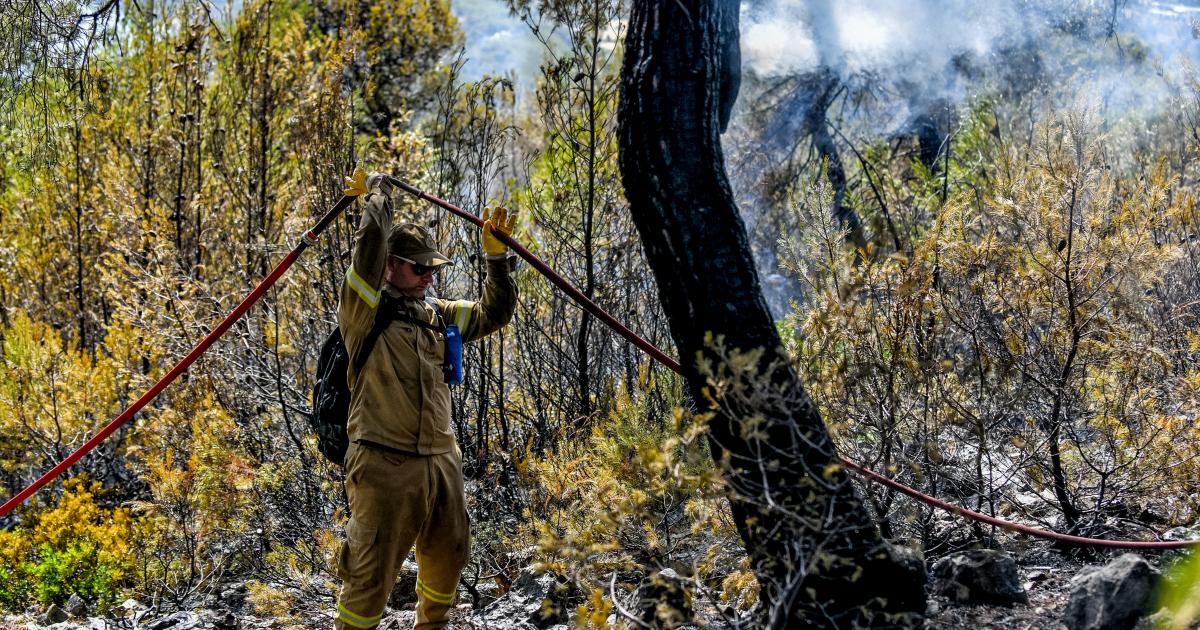 Πυροσβεστική / 157 δασικές πυρκαγιές σε 3 μέρες – Ανησυχία για τους κεραυνούς